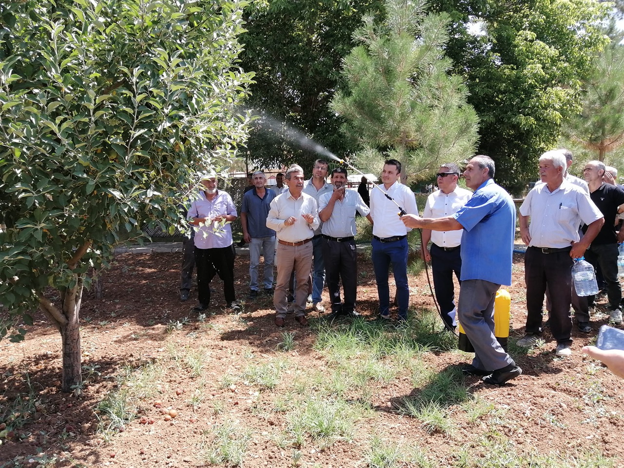 Akdeniz Meyve Sineği Biyoteknik Mücadele Çalışması Ziray dağıtım Töreni